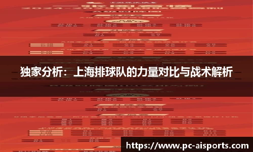 独家分析：上海排球队的力量对比与战术解析